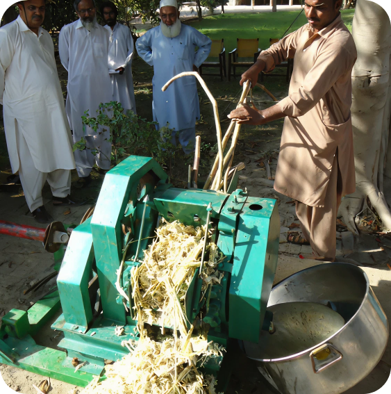 Sugarcane Crusher