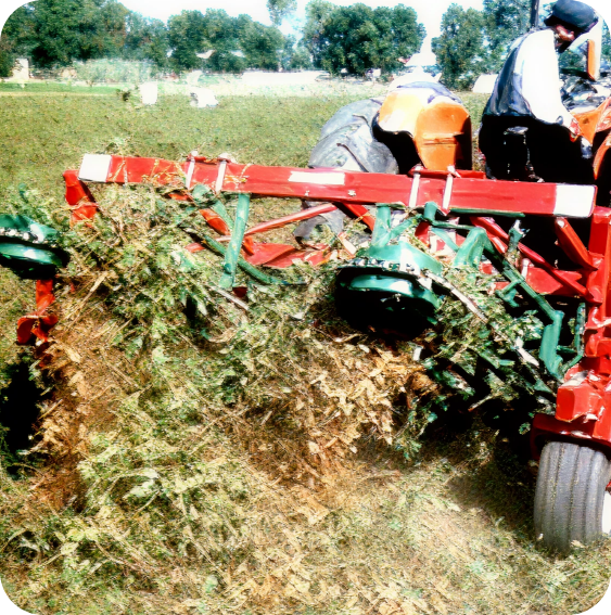 Groundnut Shelling Machine